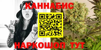 прущие грибы Кандалакша