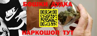 прущие грибы Кандалакша