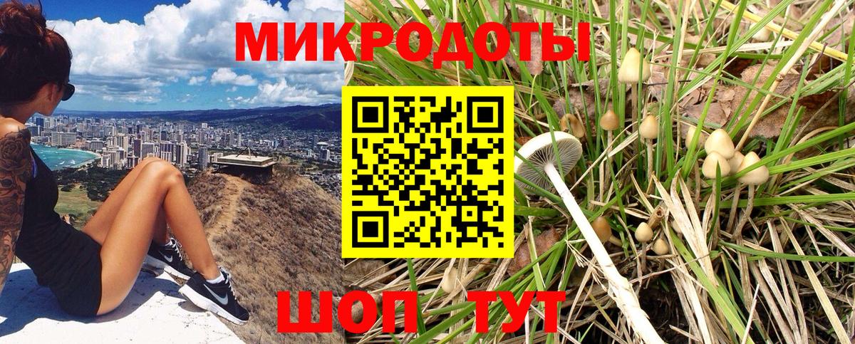 Галлюциногенные грибы прущие грибы  Вход с VPN  Дагестанские Огни 